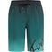 Lario B Typo Shaded Shorts