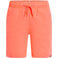 Ken III B Shorts