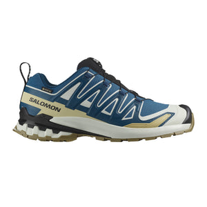 XA Pro 3D V9 Gore-Tex chaussures de trail running