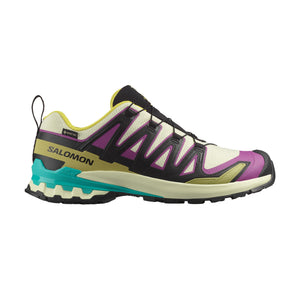 XA Pro 3D V9 Gore-Tex chaussures de trail running