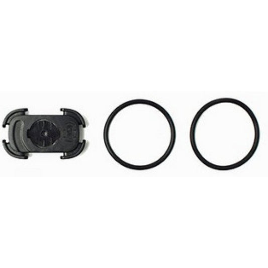 Mount for remote control