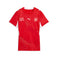 Suisse Home Replica maillot de football