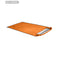 BIVY PRO