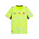 SFV Replica Match Jersey GK