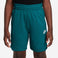 Sportswear Club Short