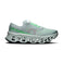 Cloudmonster 3 Laufschuhe