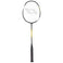 Speed 500 Badmintonschläger