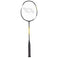 Speed 500 Badmintonschläger