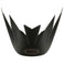 Sanction Visor