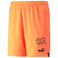 SFV Home Schweiz Fussballshorts