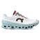 Cloudmonster Laufschuhe