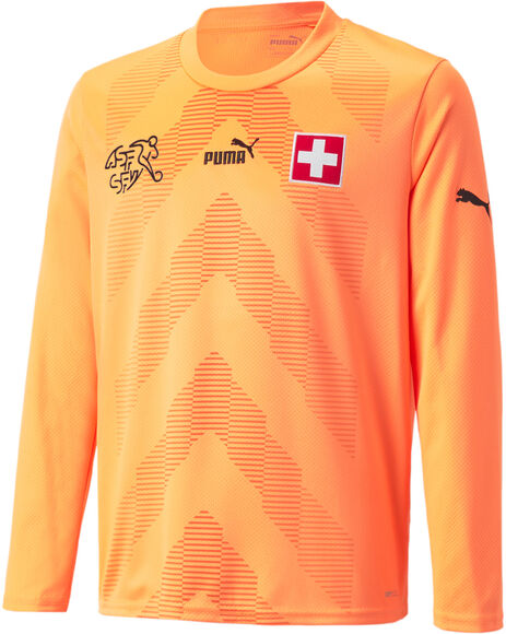 ASF Suisse gardien de but maillot de football