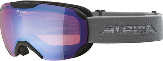 Pheos S HM lunettes de ski