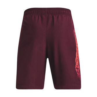 Woven Graphic Trainingsshorts
