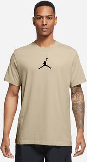 Jordan Jumpman Dri-FIT T-Shirt