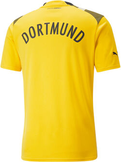 Borussia Dortmund Coupe maillot de football