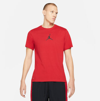 Jordan Jumpman Dri-FIT T-Shirt