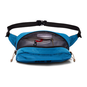 Field Day Hip Pack