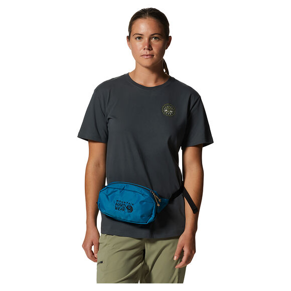 Field Day Hip Pack