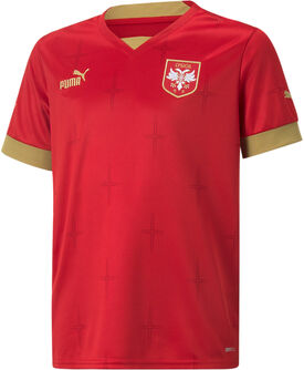 Serbie Home  maillot de football