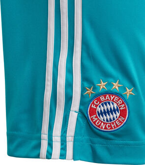 FC Bayern München 20/21 Home maillot gardien de but